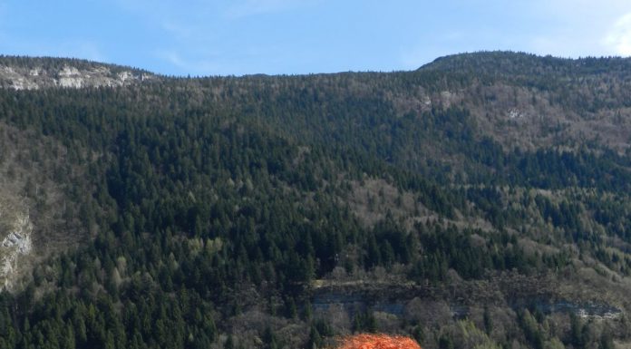 *DUTTILITA’* la seconda emozione di Primavera