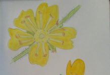 *ARMONIA* la quarta emozione dell’estate