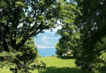 11-12 giugno 2022 Nordic Walking Tao® & Stretching Emozionale® Ri-cominciamo da qui, con la *RIGENERAZIONE*, la prima emozione di Primavera