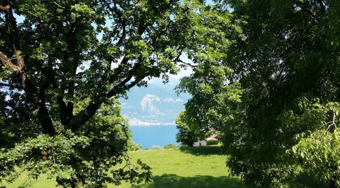 11-12 giugno 2022 Nordic Walking Tao® & Stretching Emozionale® Ri-cominciamo da qui, con la *RIGENERAZIONE*, la prima emozione di Primavera